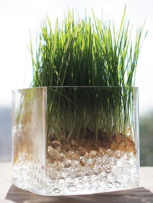 AQUA PERLE superabsorbent 50 g