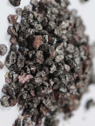 HERBA rastlinsko barvilo COCHENILLE RDEČE      5 g