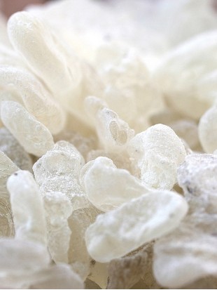 MASTIX - smola            100 g