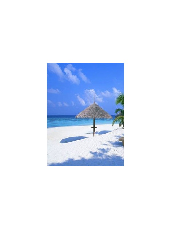 EXOTIC parfemsko olje