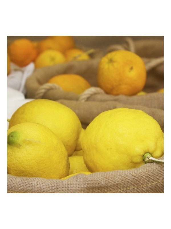 LIMONA - POMARANČA parfemsko olje