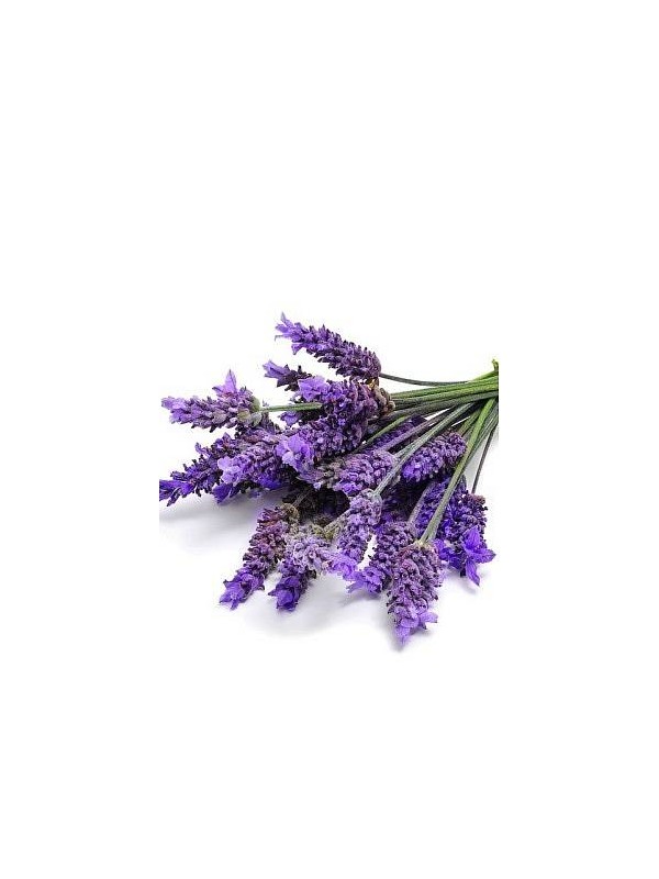 SIVKA parfemsko olje