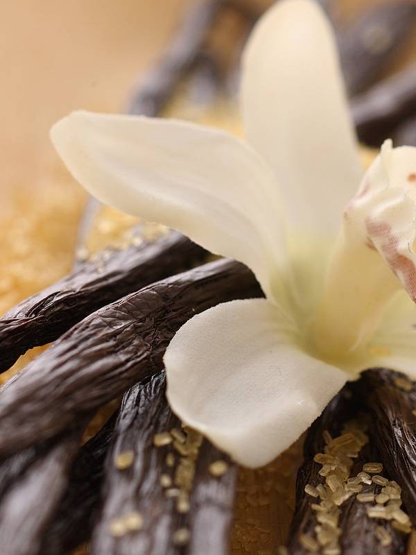 VANILIJA FOREVER parfemsko olje