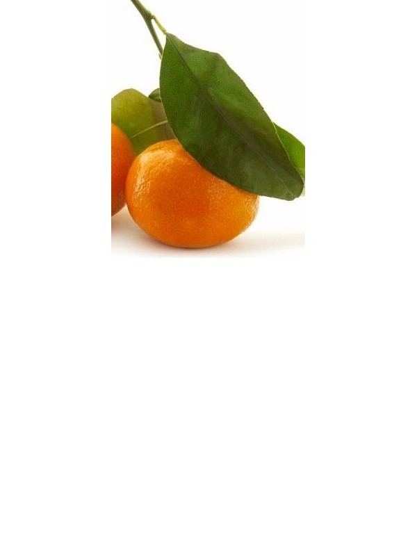 TANGERINE essential oil