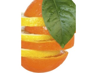  IZDELAVA NARAVNEGA PRŠILA ZA ODGANJANJE KLOPOV