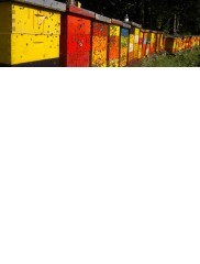 coating-with-water-based-coatings