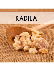 KADILA
