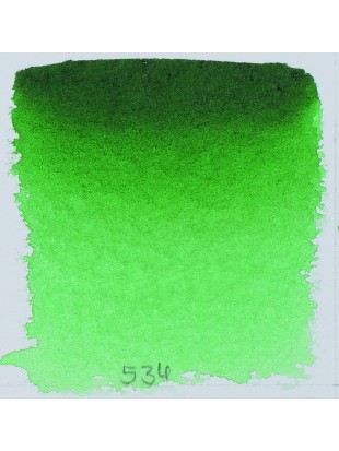 HORADAM AQUAREL Permanentgrun maslinasta 534