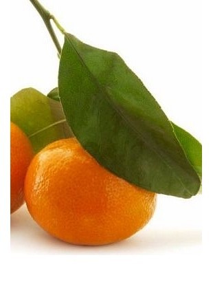 MANDARINA - naravno eterično olje