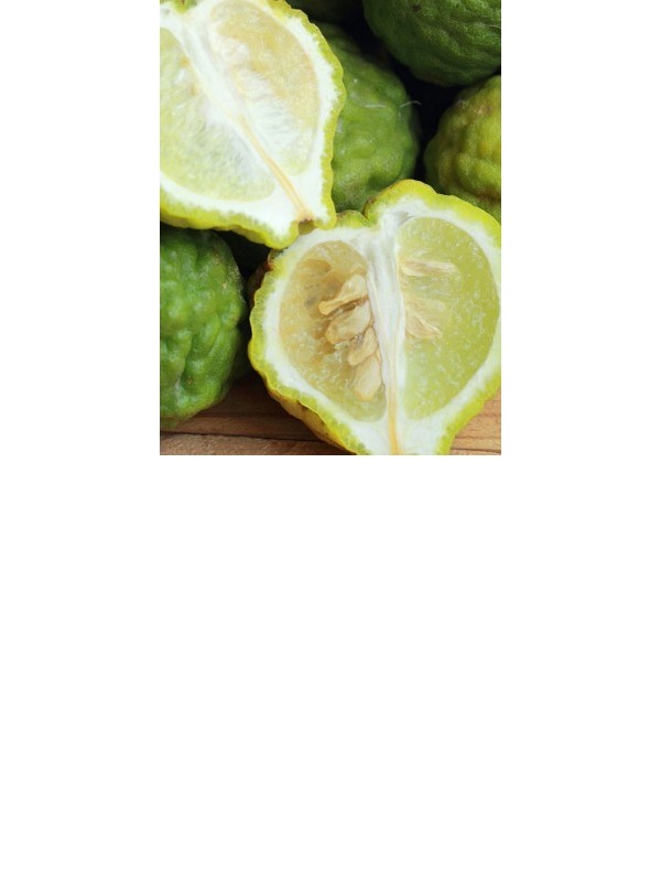 BERGAMOT essential oil