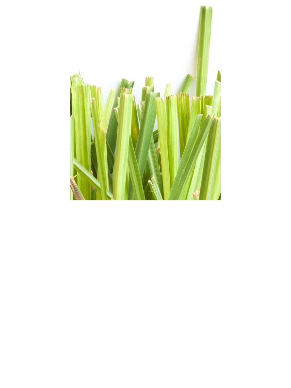 CITRONELLA essential oil