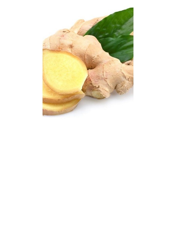 GINGER essential oil