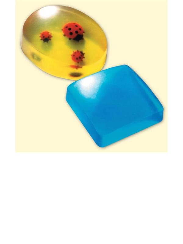 SOAP MOULD Oval / Square